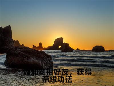 添加老祖好友,获得帝级功法林枫全文完整版-林枫小说在线阅读