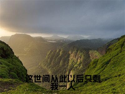 沈知星段渠小说免费阅读全文(沈知星段渠)全文免费阅读无弹窗大结局_这世间从此以后只剩我一人最新章节列表
