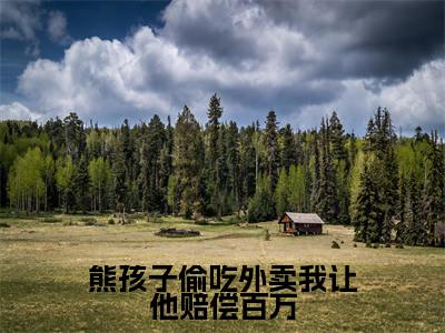 熊孩子偷吃外卖我让他赔偿百万小说全文(任真王守义)完整版阅读-熊孩子偷吃外卖我让他赔偿百万小说全文无删减版