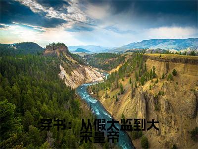 穿书:从假太监到大宋皇帝(苏源)全文免费阅读无弹窗大结局_(穿书:从假太监到大宋皇帝)最新章节列表_笔趣阁(苏源)