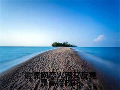 震惊网恋火辣女友竟是高冷校花高赞小说（陈瀚）完结阅读_震惊网恋火辣女友竟是高冷校花全文完整版免费阅读最新章节列表