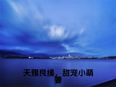 天赐良缘,甜宠小萌妻全文免费阅读(沈念安陆彦森免费阅读无弹窗)天赐良缘,甜宠小萌妻最新章节列表