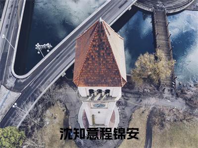 沈知意程锦安小说精彩章节今日阅读更新-(程锦安沈知意小说)免费阅读小说全文
