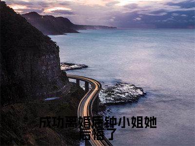 成功离婚后钟小姐她后悔了（钟楚瑶林禹洲）全文免费阅读无弹窗-（成功离婚后钟小姐她后悔了）钟楚瑶林禹洲小说全文在线赏析