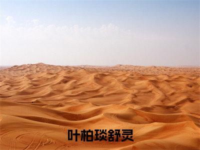 叶柏琰舒灵小说（舒灵叶柏琰）全文免费阅读无弹窗大结局_叶柏琰舒灵完整版最新阅读_笔趣阁（舒灵叶柏琰）