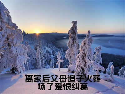 许默谢冰艳（离家后父母追子火葬场了爱恨纠葛）全文免费阅读无弹窗大结局_离家后父母追子火葬场了爱恨纠葛:许默谢冰艳最新章节列表_笔趣阁