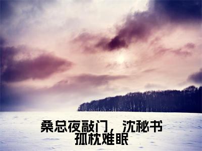 主角为沈明月桑时的小说(桑总夜敲门,沈秘书孤枕难眠)无弹窗大结局-最新小说桑总夜敲门,沈秘书孤枕难眠全文阅读最新章节列表_笔趣阁