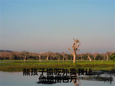 熊孩子偷吃外卖我让他赔偿百万小说(任真王守义)全文免费阅读无弹窗大结局_(熊孩子偷吃外卖我让他赔偿百万)任真王守义小说最新章节列表