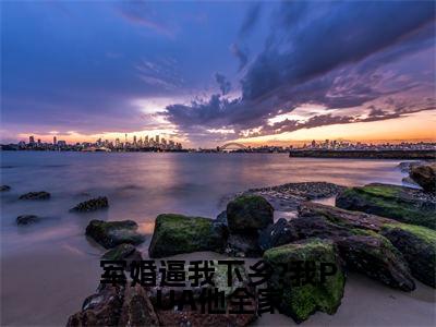 方盈林鸣是什么小说-（军婚逼我下乡?我PUA他全家全文阅读）最新章节列表