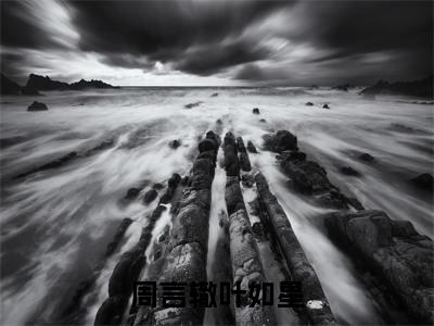 周言辙叶如星无广告小说(叶如星周言辙)全文免费阅读无弹窗大结局-周言辙叶如星在线阅读