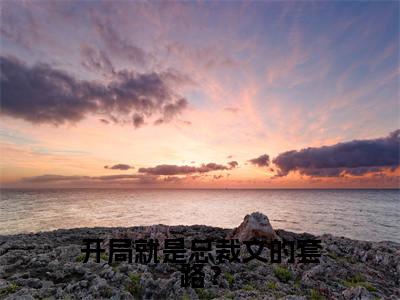 开局就是总裁文的套路？（南洙决陆岑岑）小说全文免费阅读无弹窗大结局_开局就是总裁文的套路？全文在线阅读无弹窗