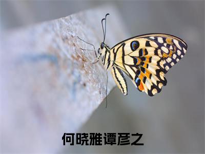 何晓雅谭彦之全文免费阅读无弹窗大结局-何晓雅谭彦之在线阅读