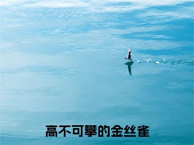 高不可攀的金丝雀（沈年王翠花小说）全文免费阅读无弹窗大结局-沈年王翠花小说最新章节列表_笔趣阁
