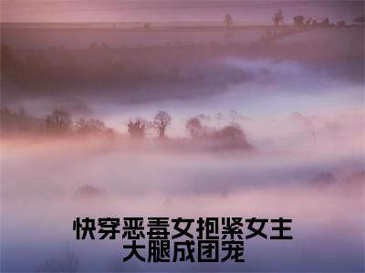 新书热荐快穿恶毒女抱紧女主大腿成团宠全文免费阅读无弹窗大结局-小说路月桑莫全文完整版免费阅读