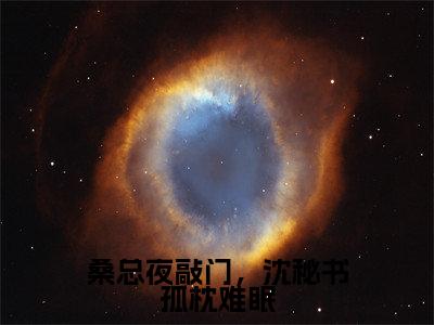 桑总夜敲门,沈秘书孤枕难眠(沈明月桑时)完结版小说-桑总夜敲门,沈秘书孤枕难眠小说全文免费阅读笔趣阁