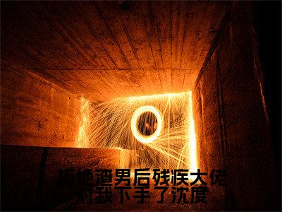 南洛沈度全文免费阅读_(拒绝渣男后残疾大佬对我下手了沈度免费阅读无弹窗)南洛沈度最新章节列表笔趣阁