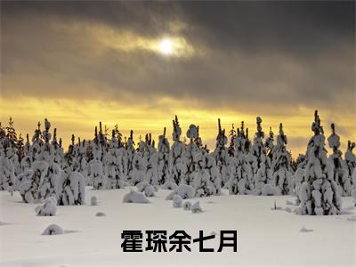 小说(霍琛余七月)余七月霍琛全文阅读-霍琛余七月(余七月霍琛)老书虫书荒推荐热点小说