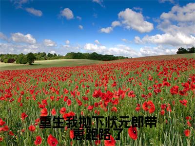 重生我抛下状元郎带崽跑路了裴凌筠容卿音完整版最新小说大结局,重生我抛下状元郎带崽跑路了免费完结版