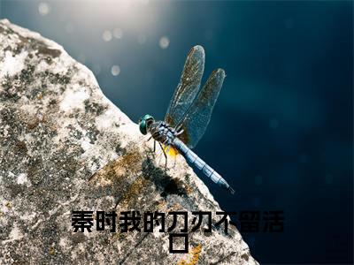 (雪女)全文免费阅读无弹窗大结局_秦时我的刀刃不留活口免费小说最新章节列表笔趣阁(雪女)