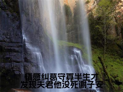 情感纠葛守寡半生才发现夫君他没死谢子安阅读无弹窗大结局_（柳云湘谢子安阅读无弹窗）最新章节列表_笔趣阁