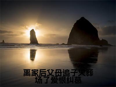 主角是许默谢冰艳的小说-离家后父母追子火葬场了爱恨纠葛全文无弹窗免费阅读