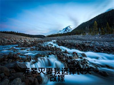 叶晚萧免费小说(宠妾灭妻我选择丧夫改嫁)全文无弹窗阅读叶晚萧大结局免费阅读无弹窗