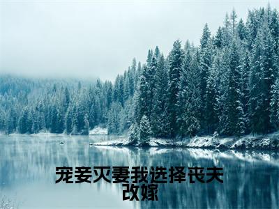 叶晚萧(宠妾灭妻我选择丧夫改嫁)免费小说全文完整版-宠妾灭妻我选择丧夫改嫁最新章节完整版阅读