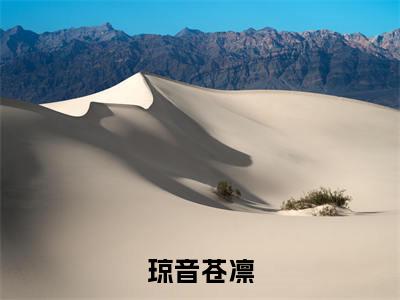 苍凛琼音小说全文免费阅读无弹窗-琼音苍凛全章节阅读