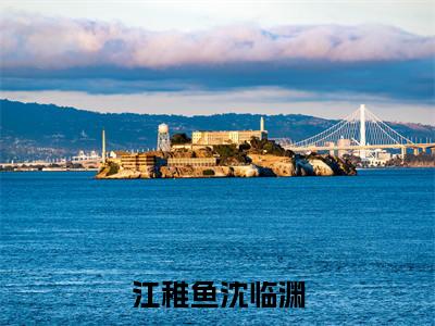 江稚鱼沈临渊(江稚鱼沈临渊)小说免费无弹窗大结局-江稚鱼沈临渊小说全文完整版阅读