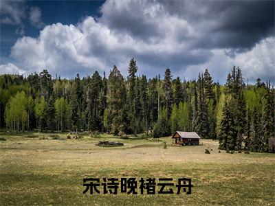 宋诗晚褚云舟(大结局小说全集完整版)宋诗晚褚云舟小说_宋诗晚褚云舟全文阅读笔趣阁(后续)+(全文)