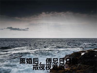 离婚后，傅总日日破戒夜夜难眠（叶聆之傅明司）全文免费阅读无弹窗大结局_叶聆之傅明司最新章节列表