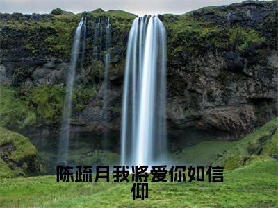 陈疏月江清寒小说免费阅读陈疏月我将爱你如信仰全文无弹窗试读