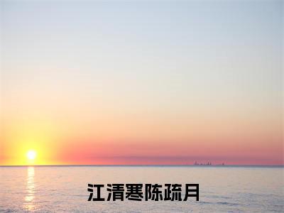 江清寒陈疏月小说江清寒陈疏月无弹窗免费阅读-最新小说江清寒陈疏月(江清寒陈疏月)全文阅读