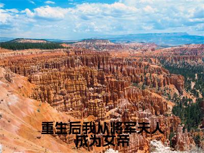 谢茵（重生后我从将军夫人成为女帝）小说全文无删减-谢茵小说免费阅读大结局（免费+全集）