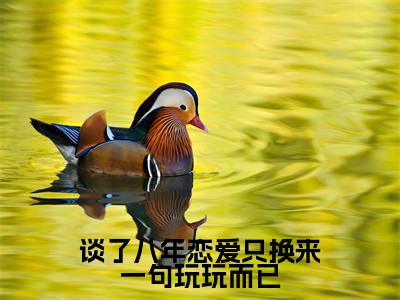 谈了八年恋爱只换来一句玩玩而已小说最新章节阅读谈了八年恋爱只换来一句玩玩而已桑挽谢西洲全文免费阅读最新章节大结局