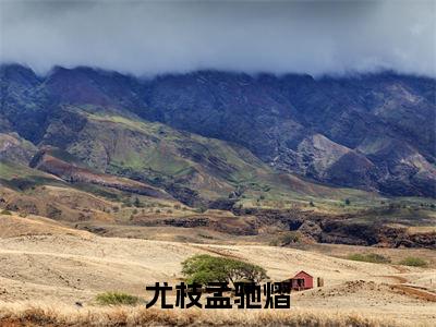 小说尤枝孟驰熠(孟驰熠尤枝小说免费阅读)完结阅读_尤枝孟驰熠全文免费阅读最新章节大结局