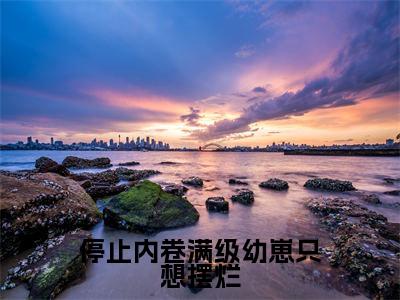 停止内卷满级幼崽只想摆烂小说(顾知意林亦白)全文免费阅读无弹窗_停止内卷满级幼崽只想摆烂小说全文免费阅读)顾知意林亦白最新章节列表笔趣阁