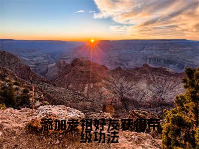林枫最新章节(添加老祖好友获得帝级功法)全文免费阅读无弹窗大结局_添加老祖好友获得帝级功法小说全文免费阅读正版无弹窗