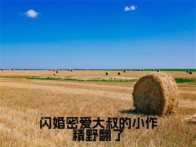 闪婚密爱大叔的小作精野翻了小说热门榜单免费阅读,何芊遥霍瑾誉抖音新上热文分享_笔趣阁(闪婚密爱大叔的小作精野翻了)