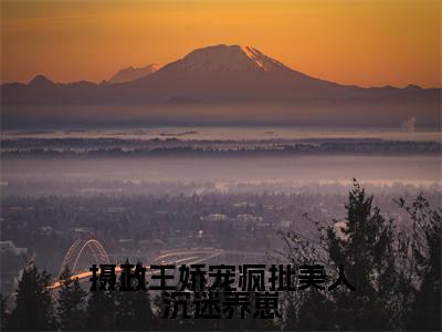 顾尧夜云熙全文免费阅读大结局-摄政王娇宠疯批美人沉迷养崽最新章节列表-笔趣阁