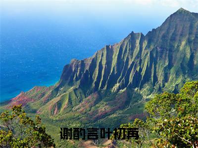 谢酌言叶初苒正版小说全文阅读叶初苒谢酌言无删减版