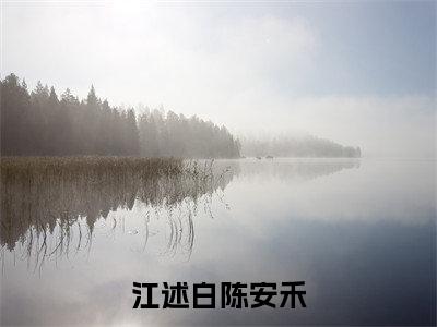 江述白陈安禾(陈安禾江述白)小说全文免费阅读无弹窗大结局_(江述白陈安禾全文免费阅读)陈安禾江述白最新章节列表