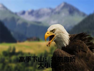 高手下山：我的傲娇大小姐免费阅读林凡最新章节目录