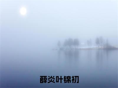 薛炎叶锦初（叶锦初薛炎）全文免费阅读无弹窗大结局_薛炎叶锦初最新章节列表_笔趣阁（叶锦初薛炎）
