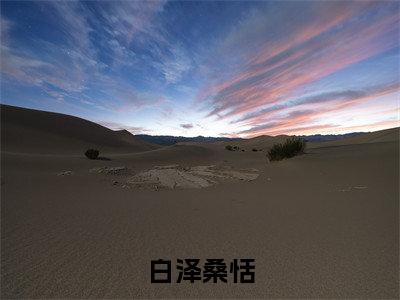白泽桑恬(桑恬白泽)全文免费阅读无弹窗大结局_白泽桑恬小说全文免费阅读最新章节列表(桑恬白泽)