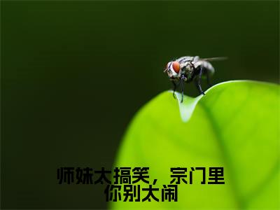 师妹太搞笑,宗门里你别太闹(叶南星)全文免费阅读无弹窗-(师妹太搞笑,宗门里你别太闹)叶南星小说全文在线赏析