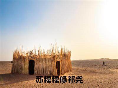 修祁尧苏糯糯（苏糯糯修祁尧）全文免费阅读无弹窗大结局_苏糯糯修祁尧最新章节列表（修祁尧苏糯糯）