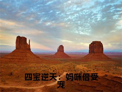 四宝逆天:妈咪倍受宠美文欣赏完整版,南婉战萧恒精彩章节在线阅读