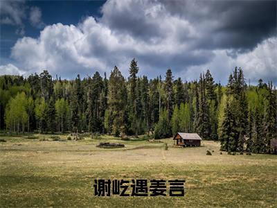 姜言谢屹遇（谢屹遇姜言）小说全文-姜言谢屹遇无弹窗免费阅读