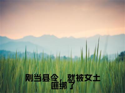 刚当县令,就被女土匪绑了(林枫)全文免费阅读无弹窗大结局_刚当县令,就被女土匪绑了全文免费阅读无弹窗最新章节列表